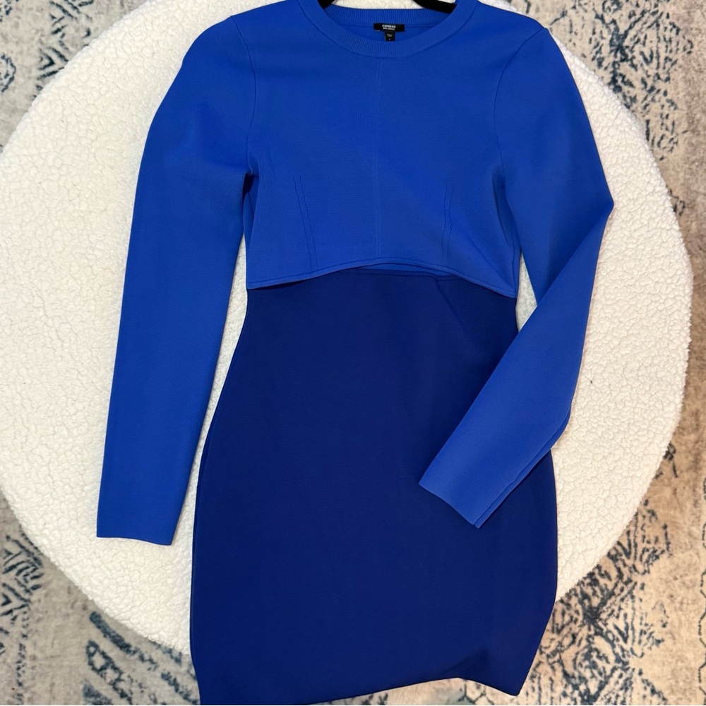 Express Blue and White Long Sleeve Bodycon Dress